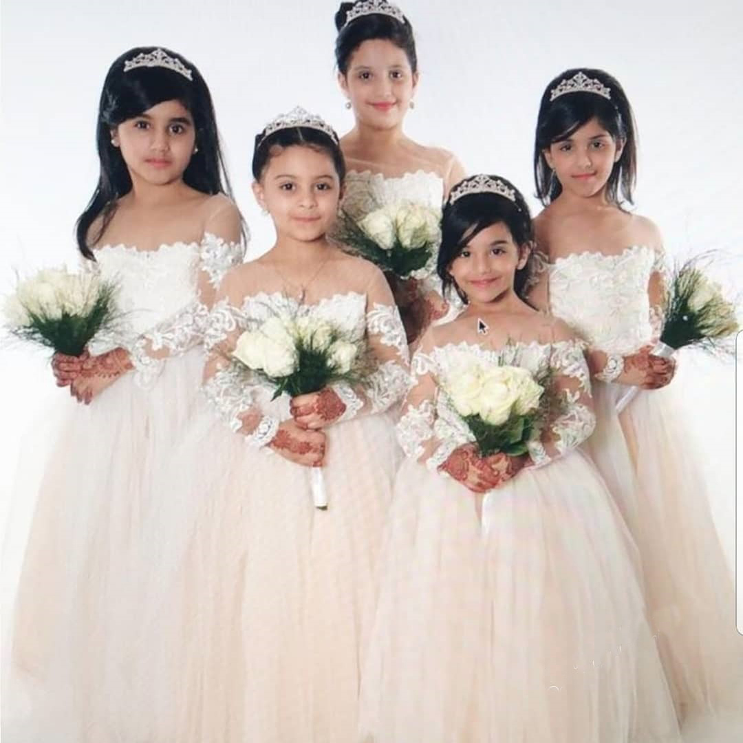 2024 Toddler Lace Tulle Flower - Toddler Girl Tulle Party Dress 评论和价格