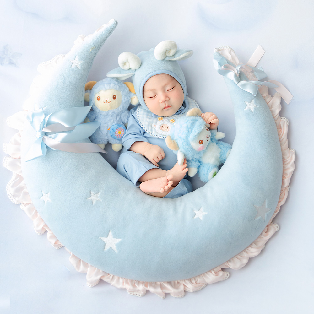Blue Sheep Newborn Photography - Infant Photography Props Outfit 评论和价格