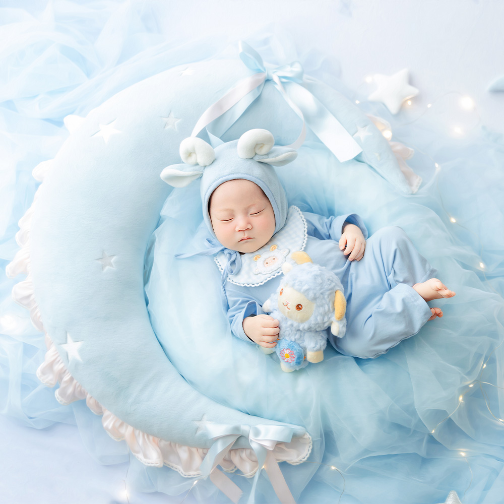 Blue Sheep Newborn Photography - Infant Photography Props Outfit 评论和价格