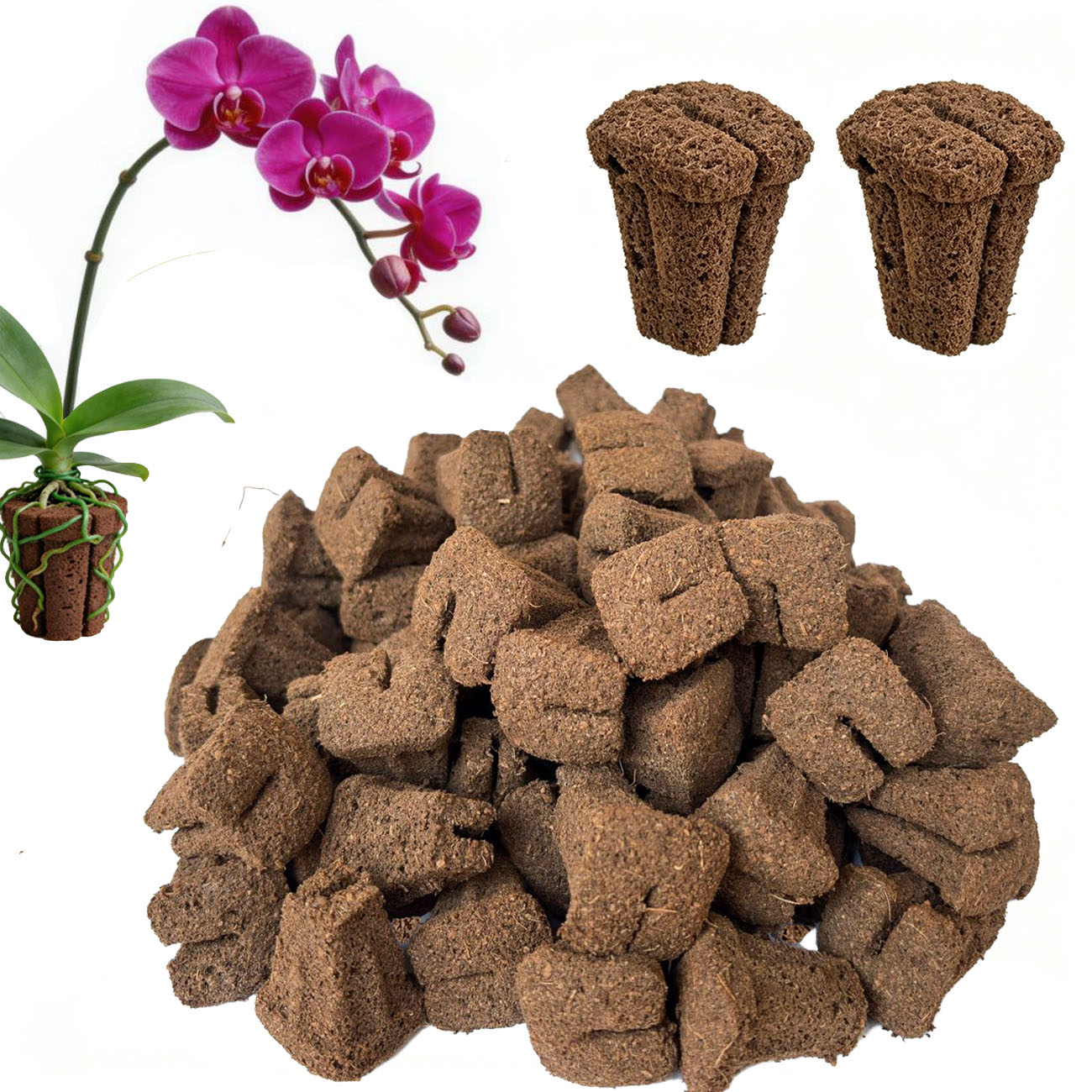 Hydroponic Rapid Grow Rooting  - Nursery 评论和价格