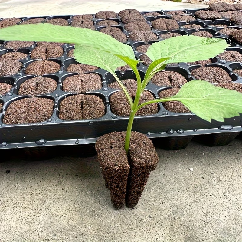 Hydroponic Rapid Grow Rooting  - Nursery 评论和价格