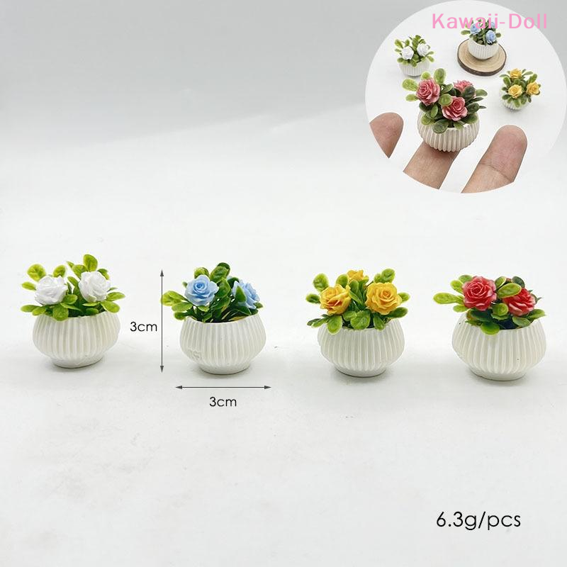 1Pcs Miniature Mini Rose Plant - Diapering 评论和价格